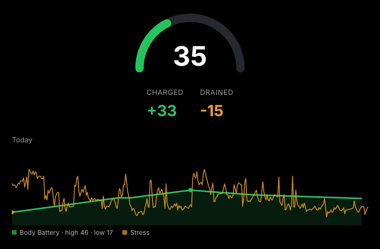 Garmin plugin, Body Battery view